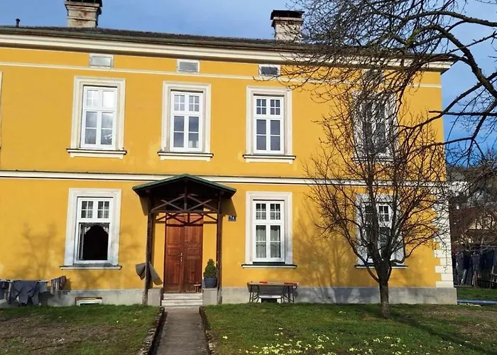 Loewenzahn