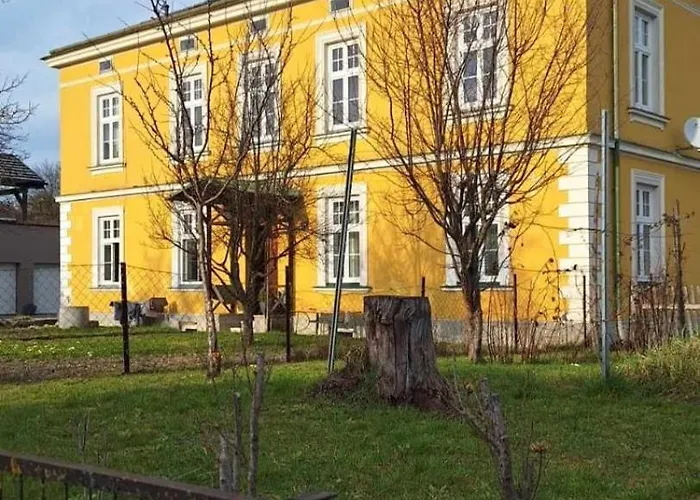 Loewenzahn