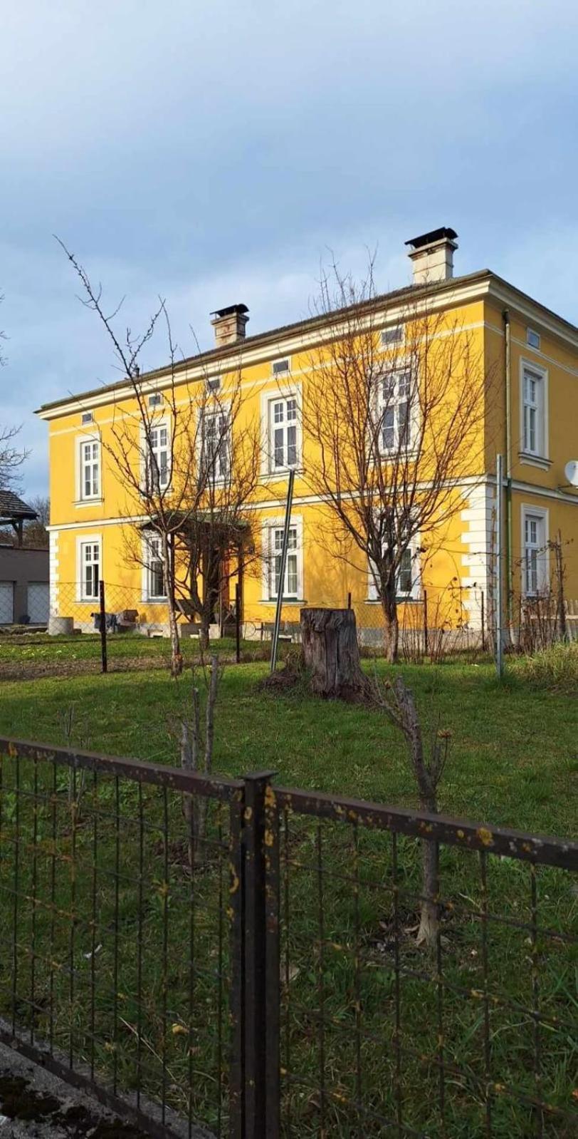 Loewenzahn